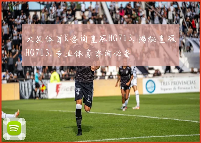 大发体育K咨询皇冠HG713,揭秘皇冠HG713,专业体育咨询必备