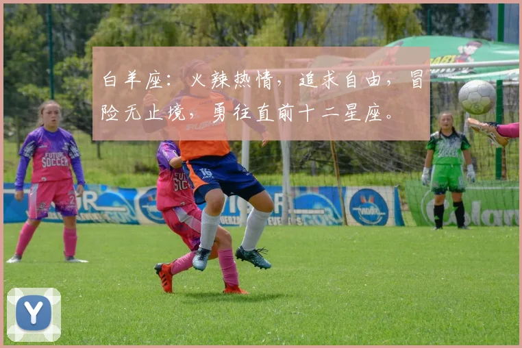 白羊座：火辣热情，追求自由，冒险无止境，勇往直前十二星座。