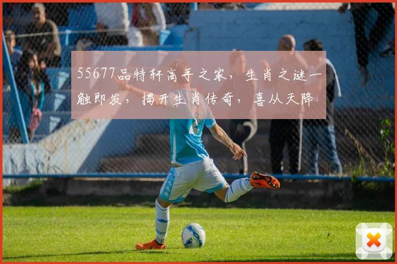55677品特轩高手之家，生肖之谜一触即发，揭开生肖传奇，喜从天降，好运连连